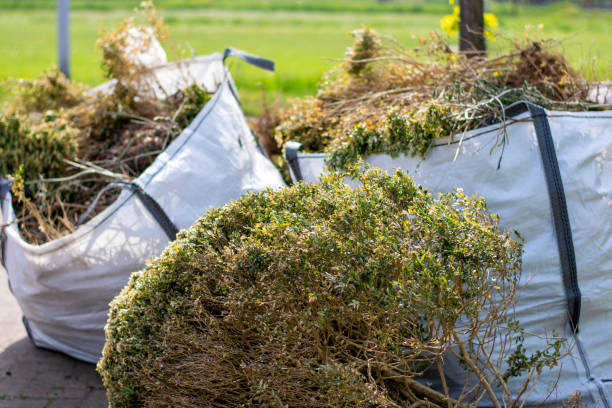 Best Trash Removal Near Me  in Manchester, KY